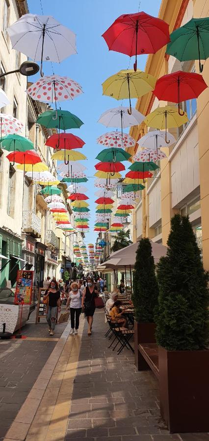 Studio Tres Spacieux Avec Cour, En Plein Coeur De Ville ! Carcassonne Eksteriør bilde